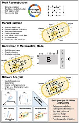 Genome-Scale Metabolic Modeling for Unraveling Molecular Mechanisms of High Threat Pathogens